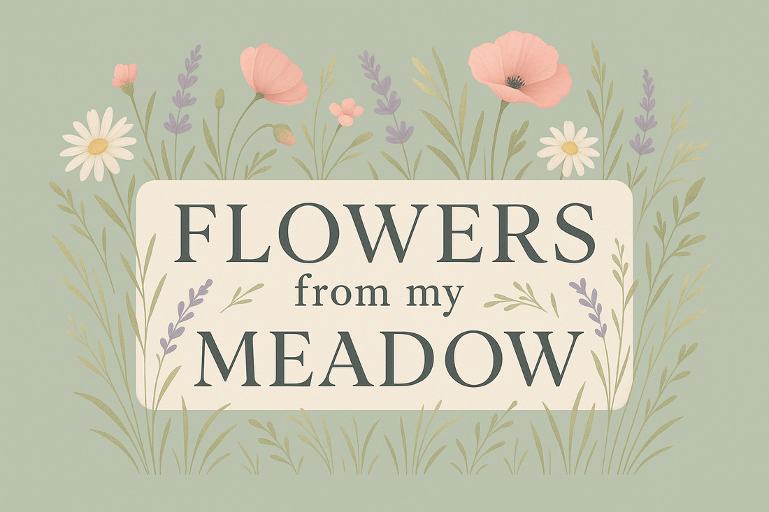 Menopause Symptom Tracker