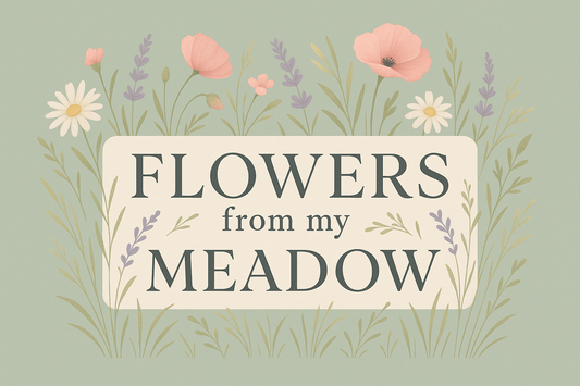 Menopause Symptom Tracker