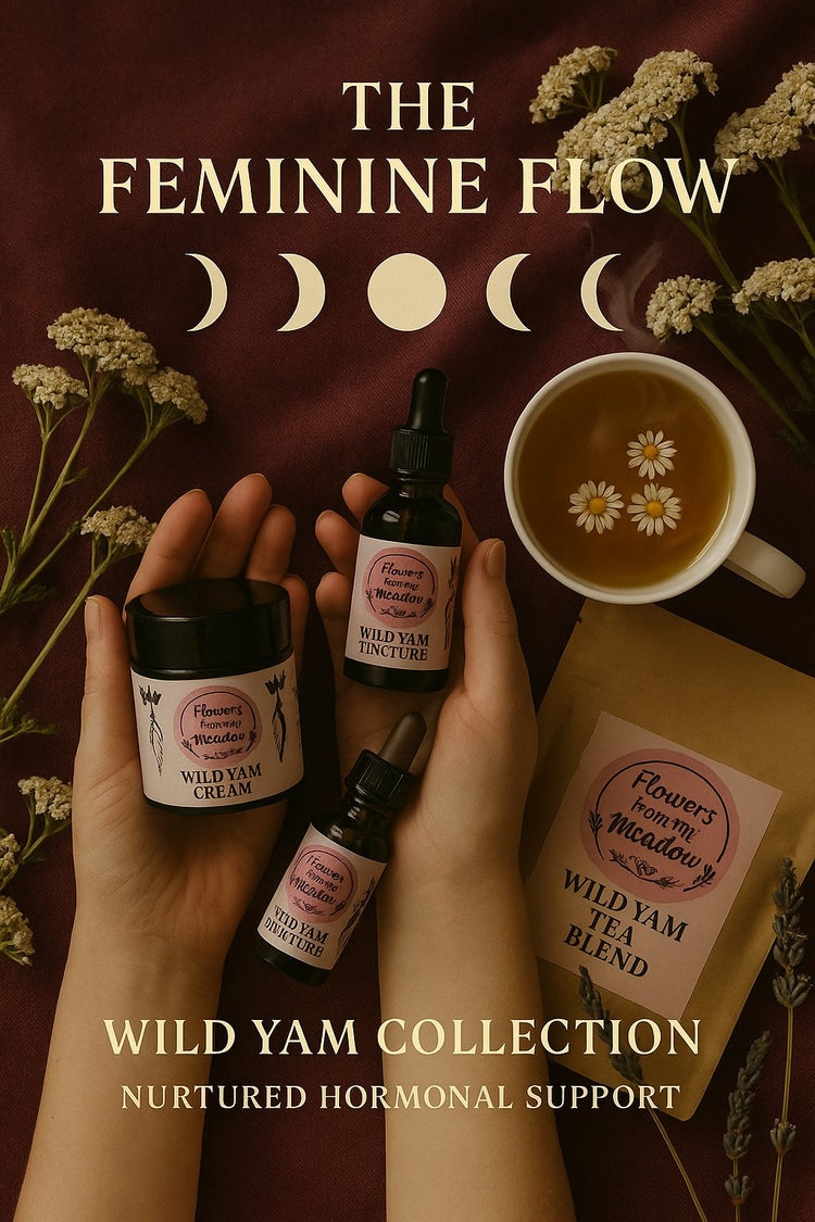 Wild Yam Cream, Tincture, Hormone Health Tea and Capsules – hormone support range South Africa