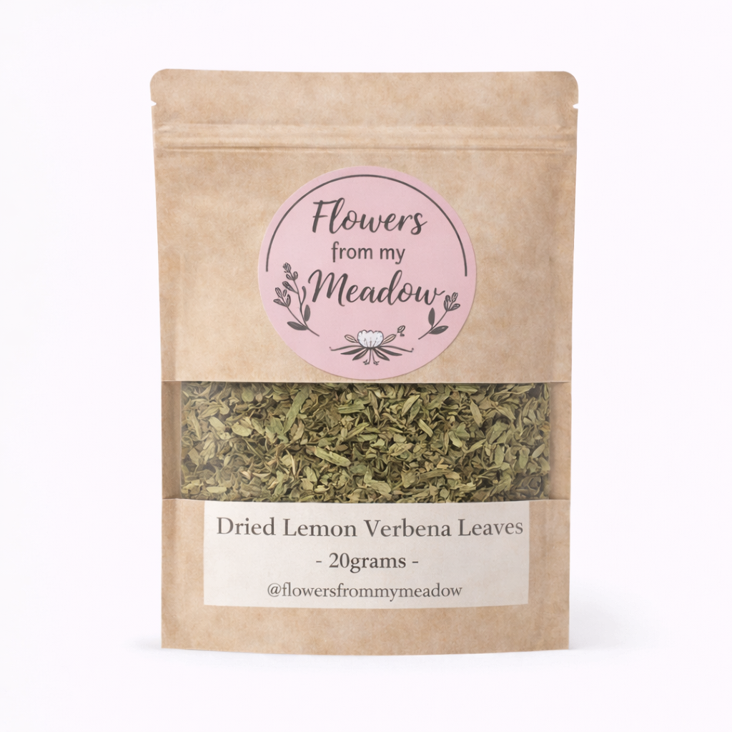 ☆Yuu★ MODERN NOTES Verbena Leaf 240ml Dried Lemon Verbena Leaf – Herbal Tea for Digestion, Stress
