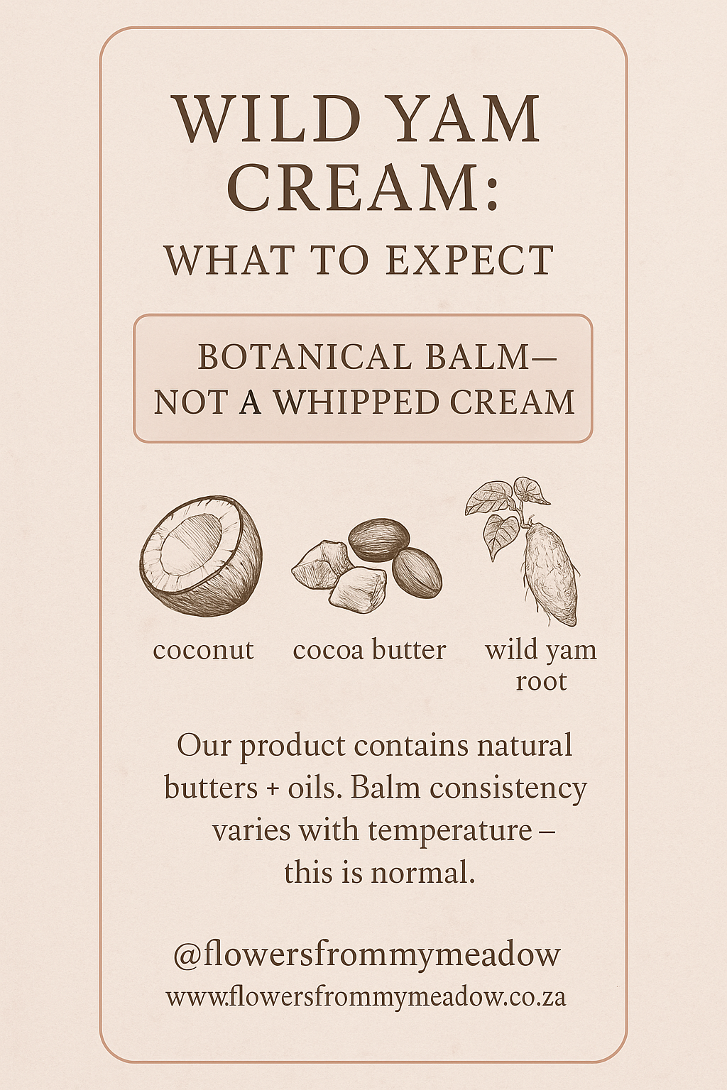 Wild Yam Cream – Natural Hormone Support for Women (50ml)