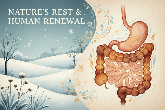 Why Digestion Slows in Cold Weather