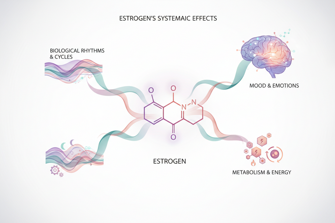 Estrogen Explained: Rhythm, Mood & Metabolism