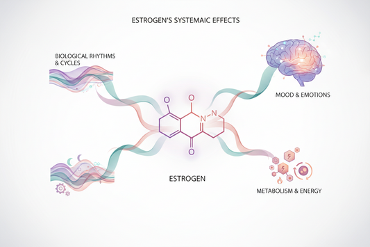 Estrogen Explained: Rhythm, Mood & Metabolism