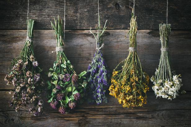 Dried Flowers - Flowers from my Meadow