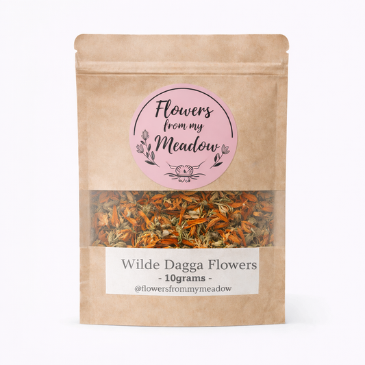 Wilde Dagga Flowers – Soothing Herbal Support for Coughs, Tension & Relaxation