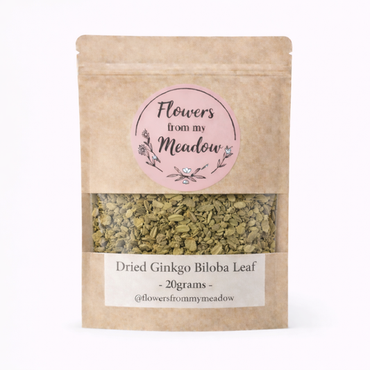 Kraft paper packaging of dried Ginkgo Biloba Leaf with a pink label on a white background