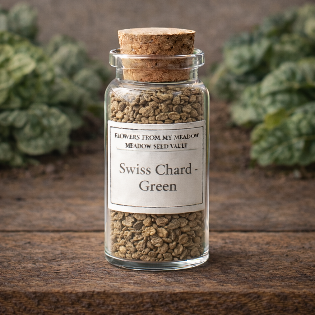 Glass jar with cork lid containing Swiss Chard seeds on a wooden surface with plants in the background