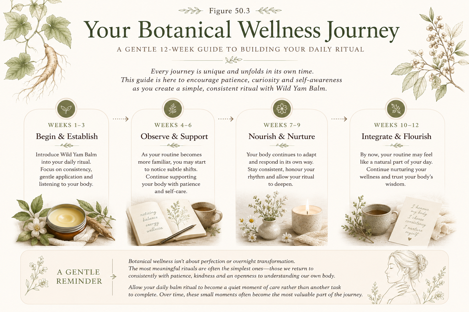 Your Botanical Wellness Journey timeline illustration