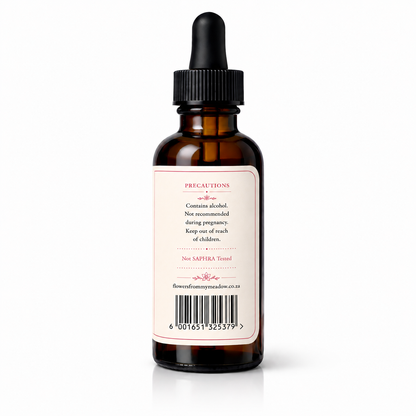 Wild Yam Tincture 30 ml amber glass dropper bottle showing precautions, product information and barcode on a cream botanical label.