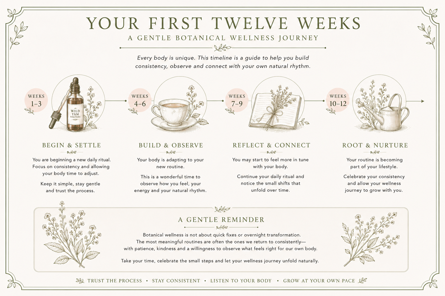 An illustrated wellness timeline titled 'Your First Twelve Weeks' with decorative borders and sections labeled Weeks 1-12, featuring small drawings of a teapot, mug, journal, and cups, plus text about gentle botanical wellness journey steps.