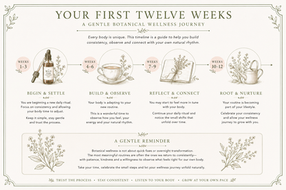 An illustrated wellness timeline titled 'Your First Twelve Weeks' with decorative borders and sections labeled Weeks 1-12, featuring small drawings of a teapot, mug, journal, and cups, plus text about gentle botanical wellness journey steps.