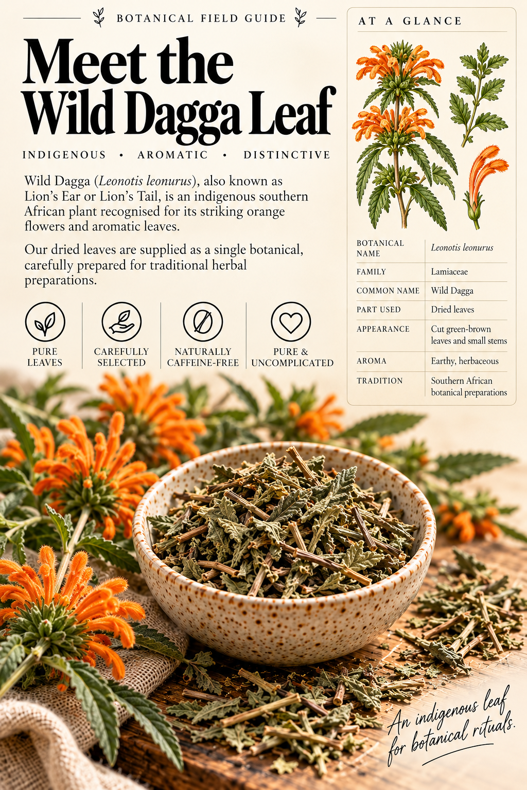 Wilde Dagga botanical guide.