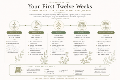 An informational infographic titled 'Your First Twelve Weeks: A TIMELINE FOR YOUR BOTANICAL WELLNESS JOURNEY' with five illustrated weekly phases, decorative botanical line art, and a footer note about keeping a sample wellness journal.