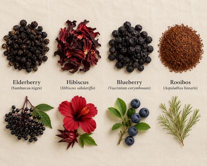 Key botanicals in Berry Blossom Tea showing elderberry, hibiscus, blueberry and rooibos in dried and fresh forms