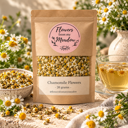 Chamomile Flowers 20 g resealable kraft pouch filled with dried chamomile, styled with fresh white chamomile flowers and golden herbal tea