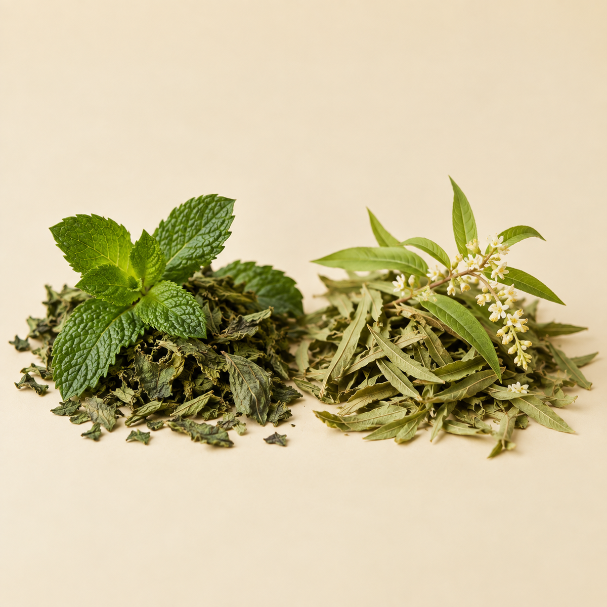 Peppermint and lemon verbena botanicals
