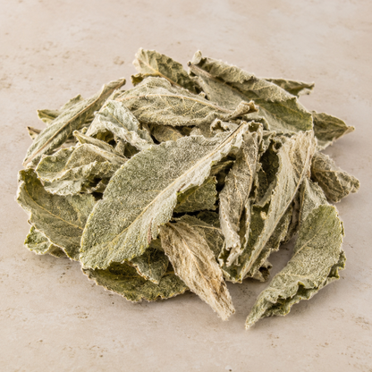 Dried Mullein leaves showing their characteristic soft woolly texture