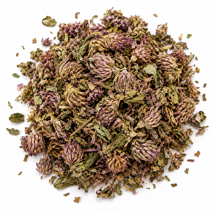Dried Red Clover Blossoms Trifolium pratense on a white background