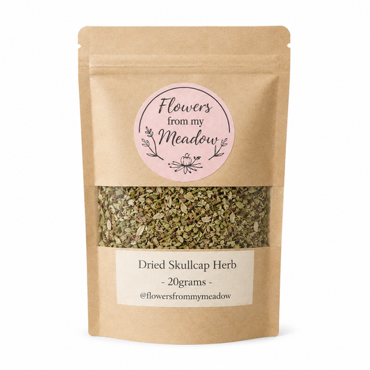 Dried Skullcap Herb 20g by Flowers from my Meadow