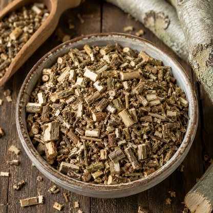 Close-up of dried White Willow Bark (Salix alba) for preparing traditional willow bark tea