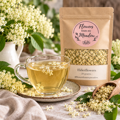 Elderflower tea with dried elderflowers and a naturally pale golden floral infusion