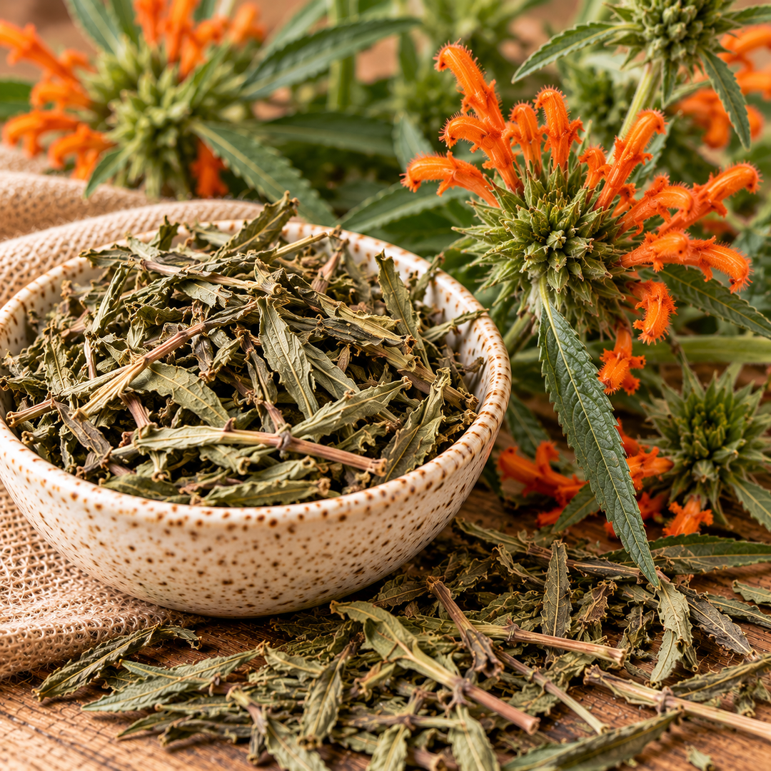 Close-up of dried Wild Dagga (Leonotis leonurus) olive-green leaves and fine stems in a speckled ceramic bowl on a rustic wooden surface, alongside bright orange tubular flowers and narrow green foliage.