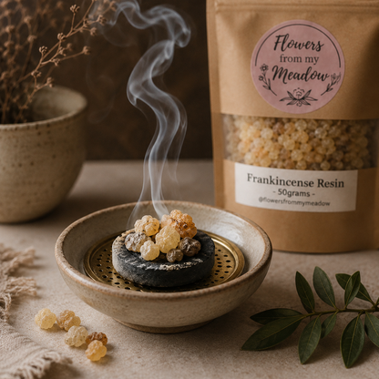 Boswellia serrata Frankincense Resin gently burning on charcoal in a heatproof incense burner