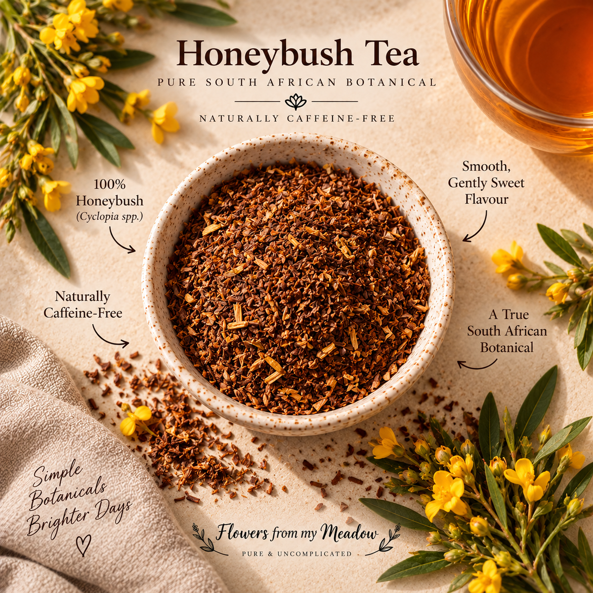 Honeybush Tea botanical profile showing pure Cyclopia honeybush, naturally caffeine-free with a smooth gently sweet flavour