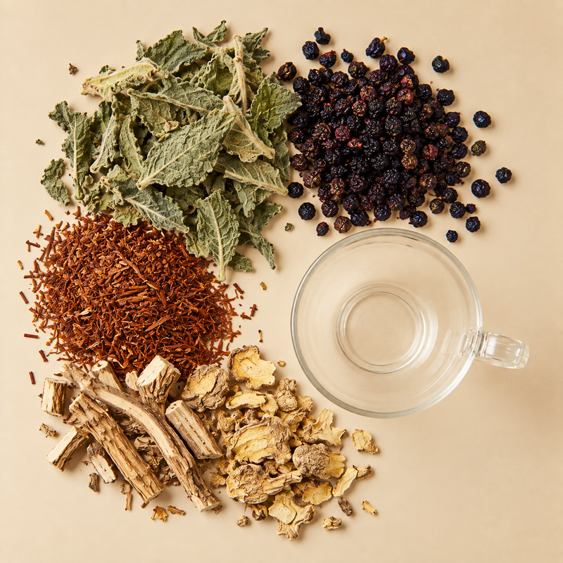 Dry Lung Detox Tea botanicals with mullein leaves, elderberries, rooibos, ginger and Siberian ginseng beside an empty glass cup