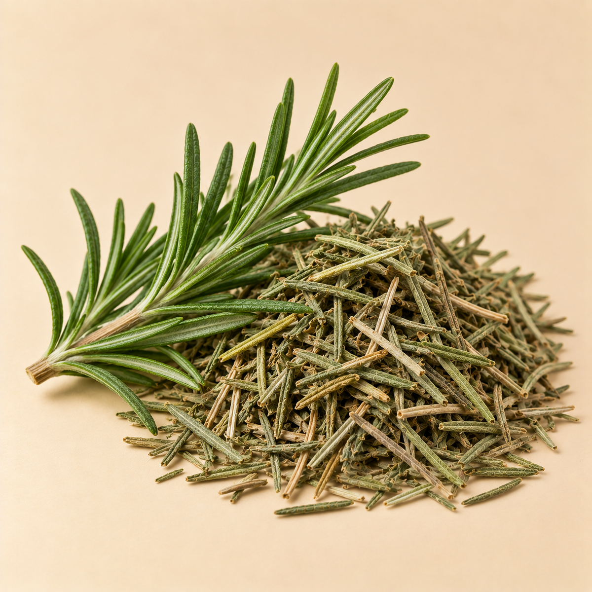 Fresh and dried Rosemary leaves used in Memory Zest Tea Blend