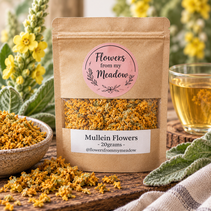 Mullein Flowers 20 g resealable kraft pouch filled with dried Verbascum thapsus flowers, styled with fresh mullein blooms and a pale golden botanical infusion