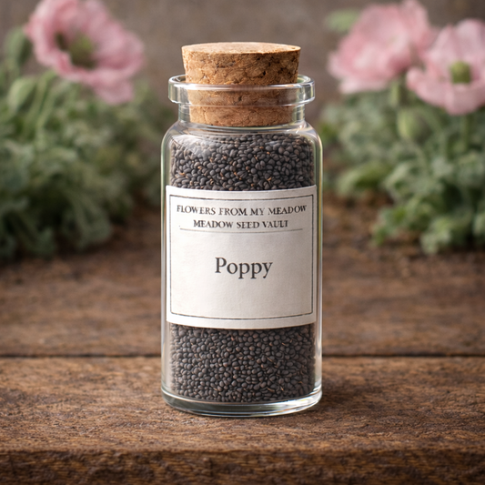 Glass jar with cork lid containing poppy seeds on a wooden surface with blurred flowers in the background