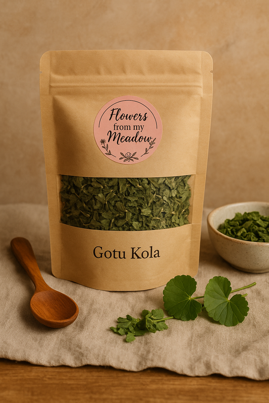 Dried Gotu Kola Leaf – Herbal Brain, Skin & Circulatory Tonic