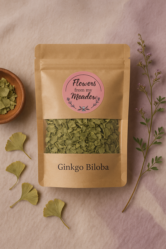 Dried Ginkgo Biloba Leaf – Herbal Brain & Circulation Support for Mental Clarity