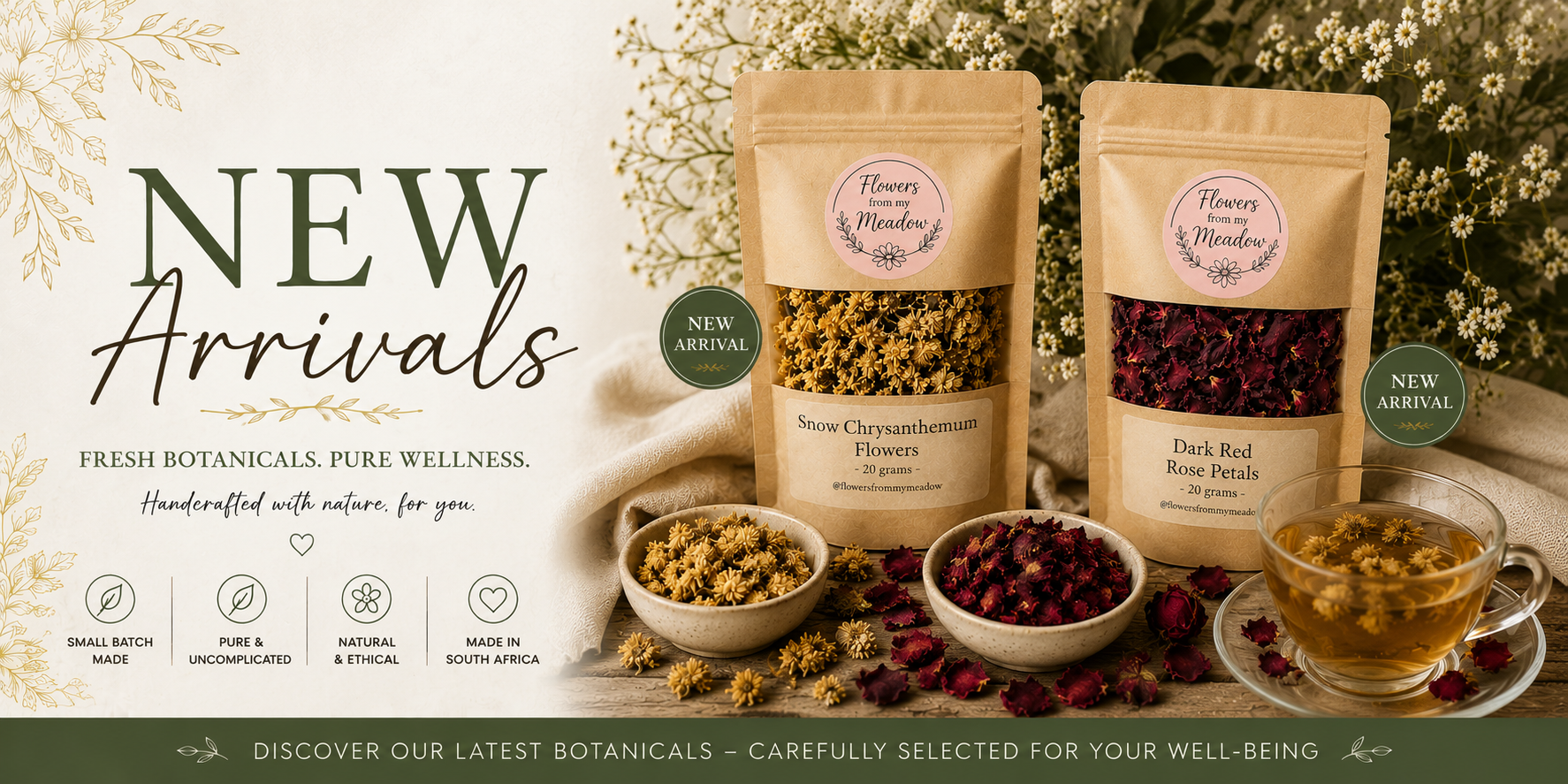 Snow Chrysanthemum Flowers and Dark Red Rose Petals new botanical arrivals at Flowers from my Meadow