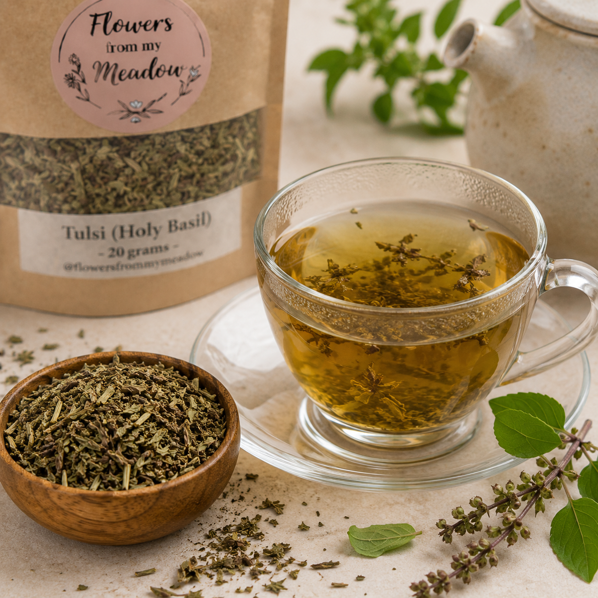 Tulsi Holy Basil herbal tea with dried Ocimum tenuiflorum leaves and fresh Tulsi