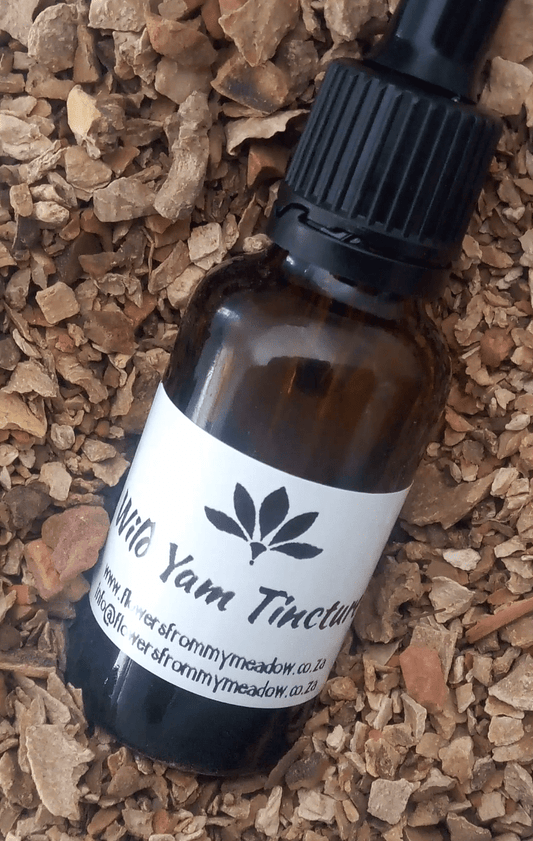 Wild Yam Tincture 30ml - Flowers from my Meadow